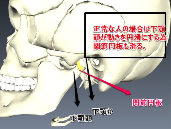 Temporomandibular joint 01