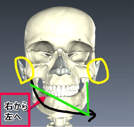 Temporomandibular joint 03