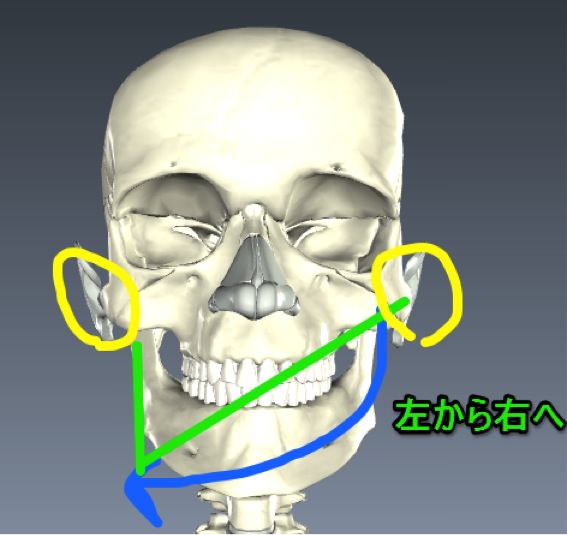 Temporomandibular joint 04